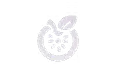 www.kiwicomputer.com